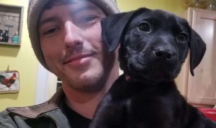 Deaf Man Adopts A Deaf Rescue Puppy And Educates Him Sign Language