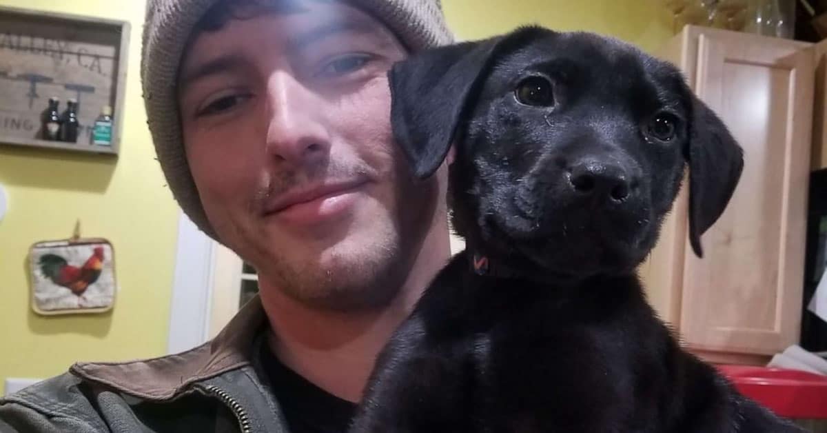Deaf Man Adopts A Deaf Rescue Puppy And Educates Him Sign Language