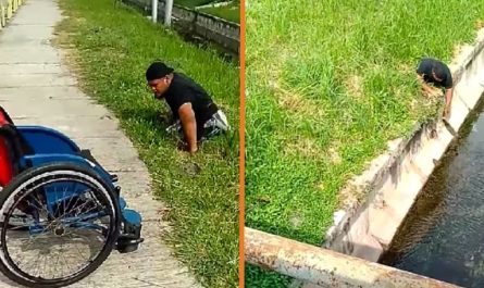 Disabled Guy Leaves His Wheelchair To Save Kitten Stuck In Drain