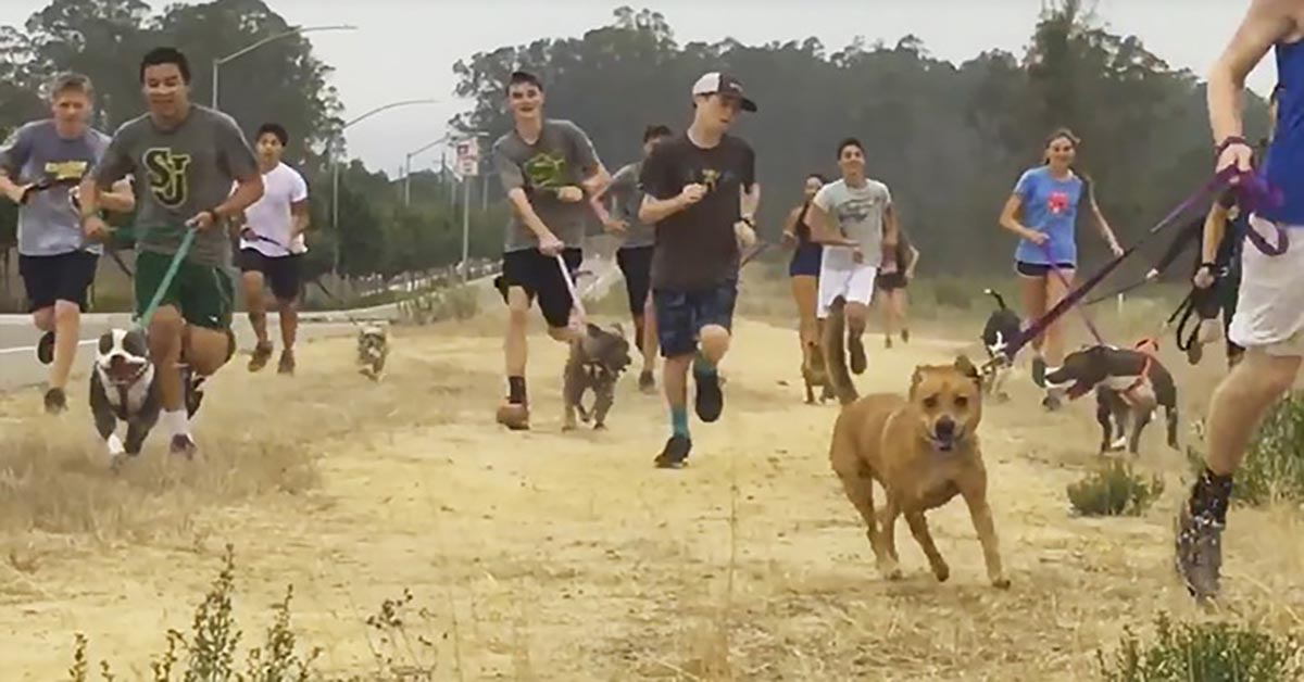 High School Cross Country Team Takes Lonely Sanctuary Dogs On Their Early Morning Run