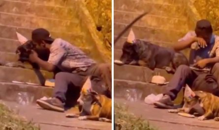 Homeless man celebrates his dog's birthday celebration in sweetest video.