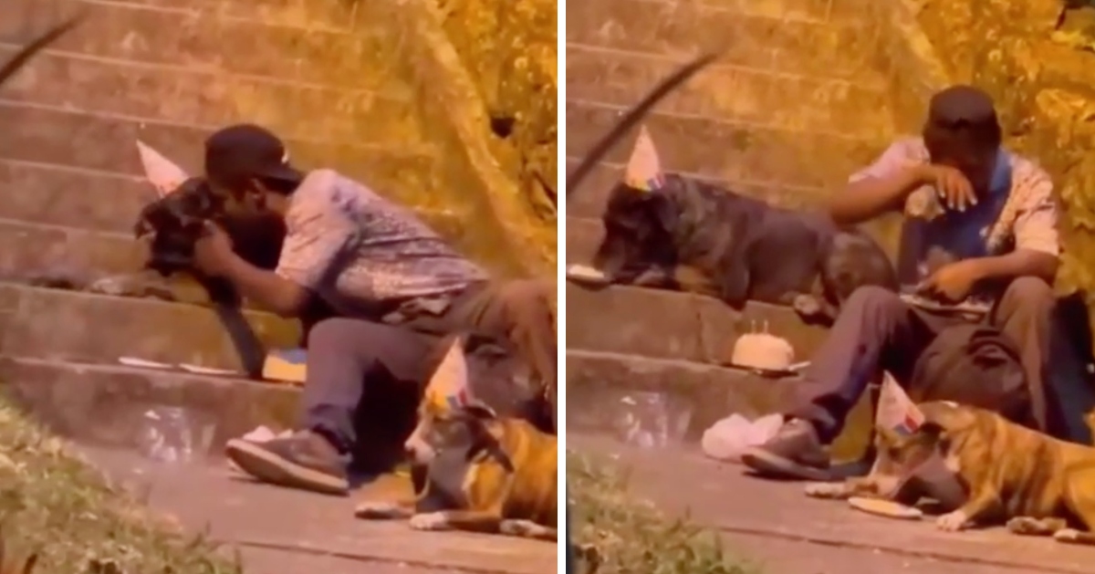 Homeless man celebrates his dog's birthday celebration in sweetest video.