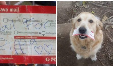 Kind hearted postman ensures the dog, that is waiting for him every day, obtains a daily letter also when there isn't any mail