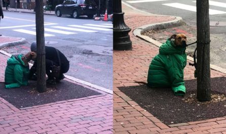 Lady Gives Dog Her Own Coat So He Stays Cozy Waiting Outside
