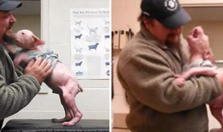 Man Goes Back To Adopt The Dog He Rescued, And The Puppy Could Not Be Happier