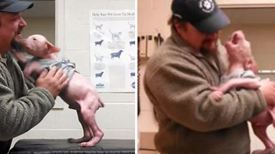 Man Goes Back To Adopt The Dog He Rescued, And The Puppy Could Not Be Happier