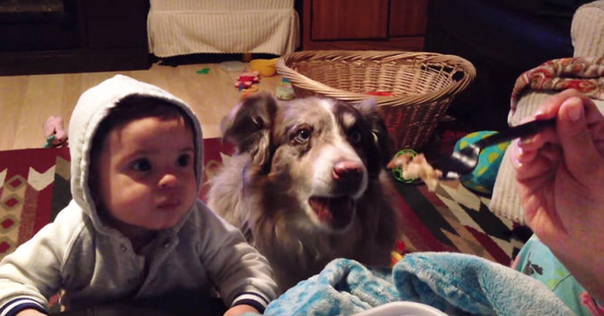 Mother offers baby a reward if he says mama dog says it instead