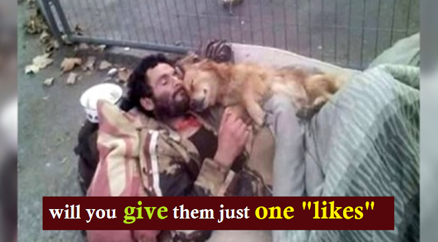 This homeless man sleeps with his dog in his arms, a four-legged angel who never lets him down!
