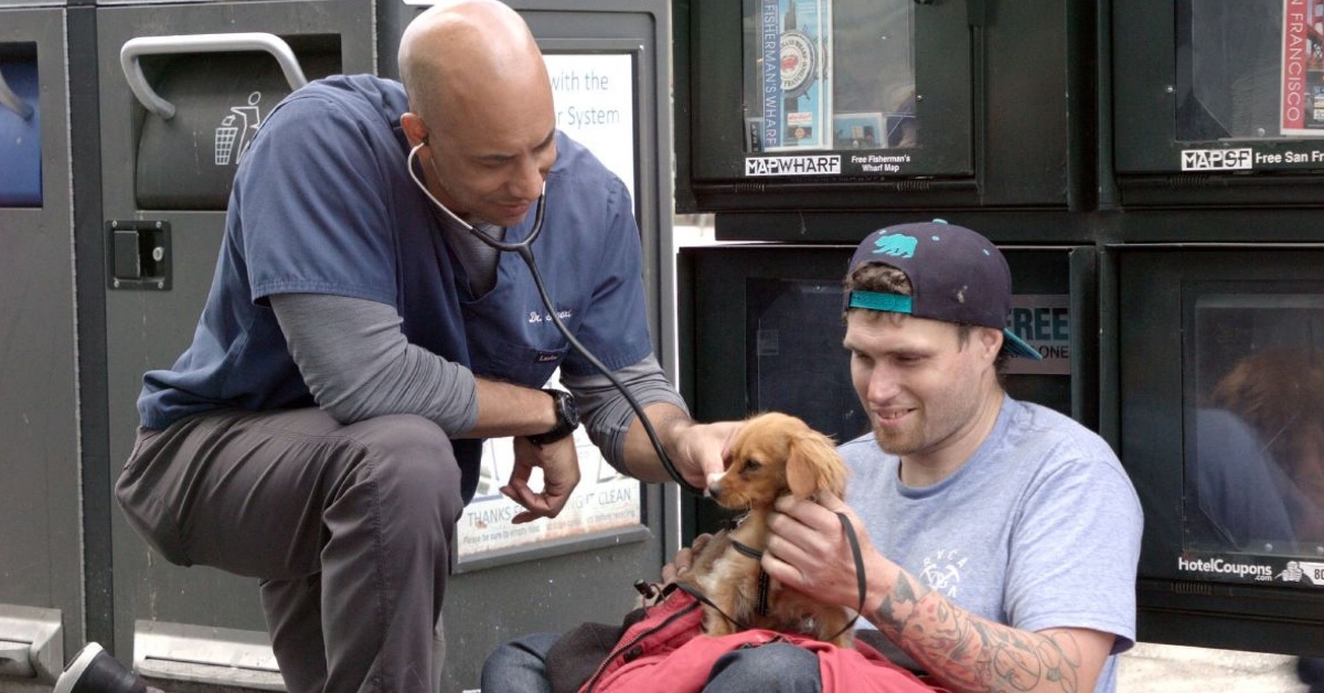 This veterinarian walks around the streets of California to deal with homeless peoples' animals for free