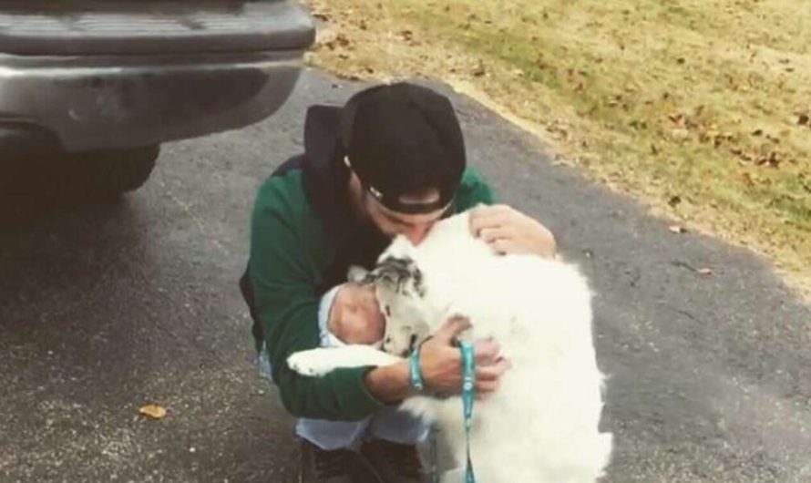 A Dog Who Was Not Allowed To Be Touched Because Of Disease, Runs To Hug A New Owner