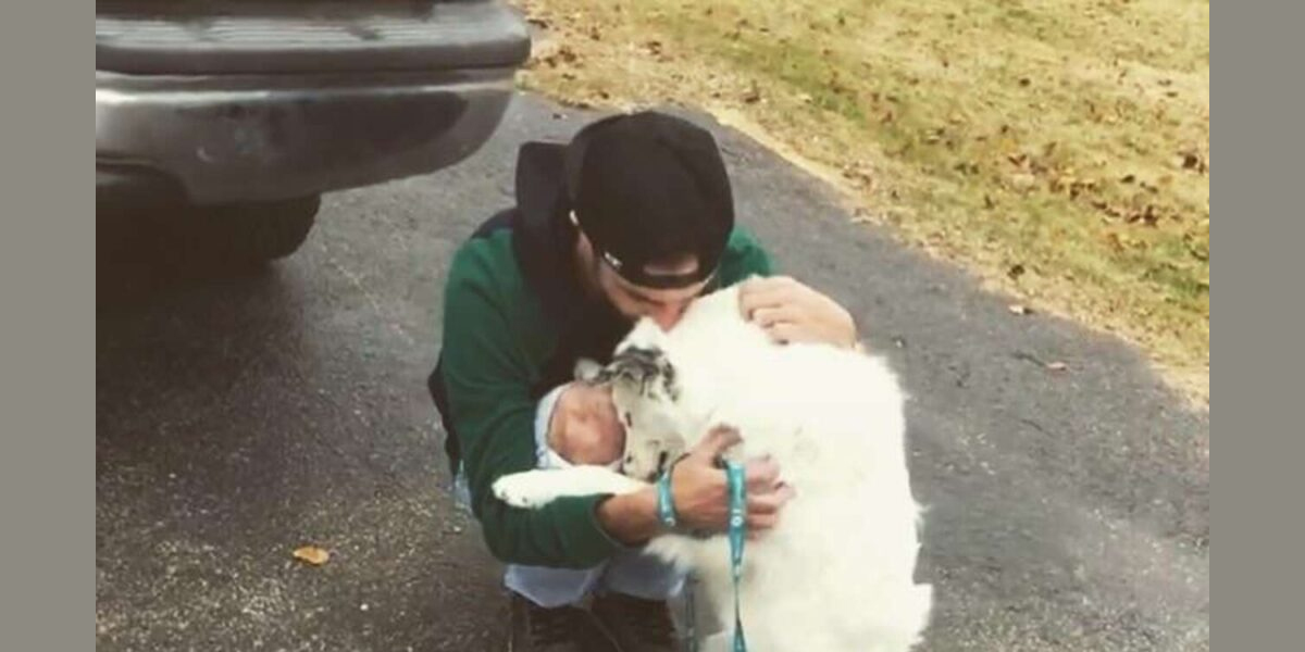 A Dog Who Was Not Allowed To Be Touched Because Of Disease, Runs To Hug A New Owner