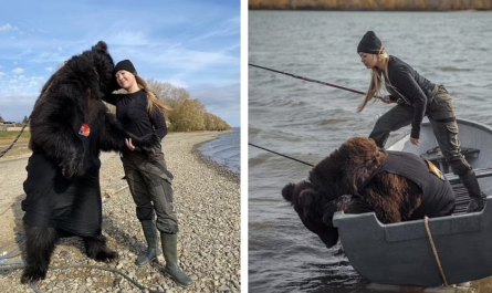 A girl And Her Rescued Brown Bear Are Fishing With Each Other