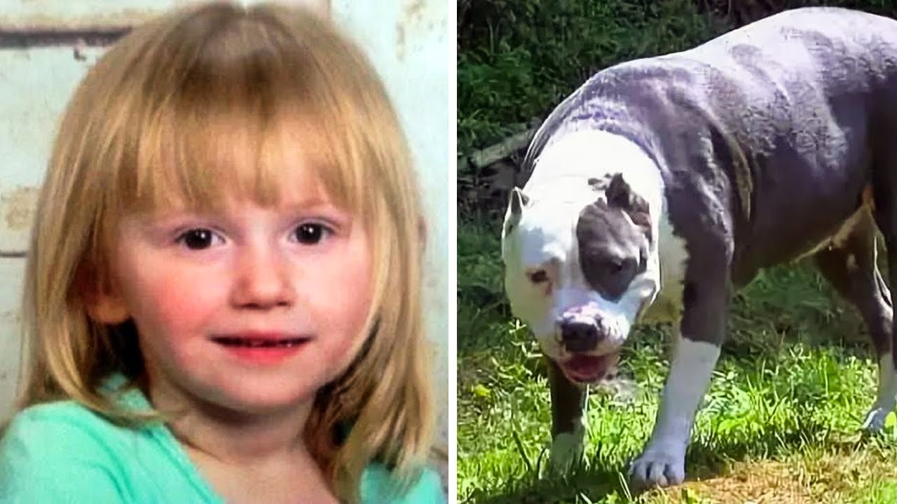 Dog Stayed By The 2 Year Old Missing Girl For 2 Days