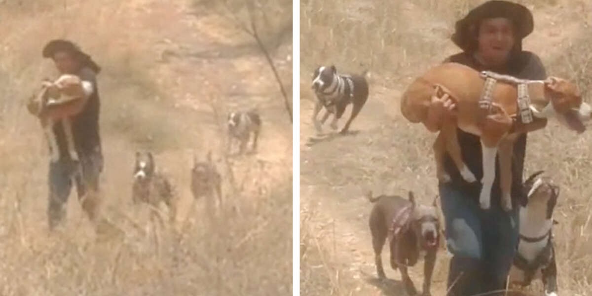 Father Runs With Disabled Dog To Help Him Have Fun During Playtime With Siblings