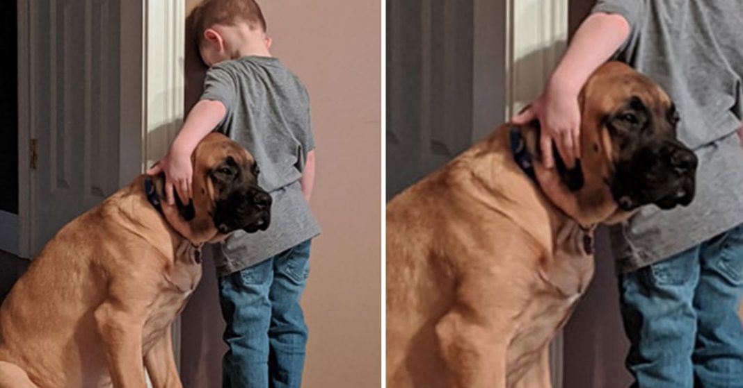 Heartwarming moment loyal dog keeps kid company throughout 'time out'