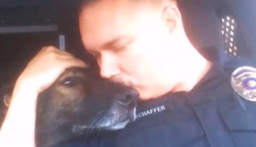 K9 Retires After 8 Years Of Service, Policeman Praise Him With Inspiring Radio Tribute