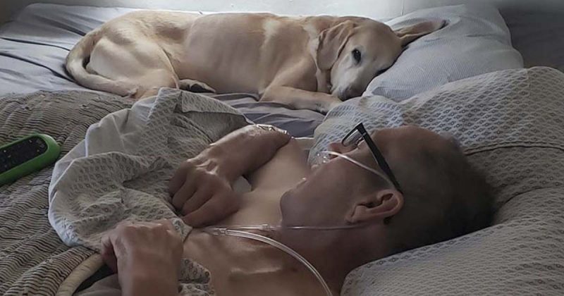 Veteran With Cancer And His Faithful Labrador Dog Pass Away The Same Day