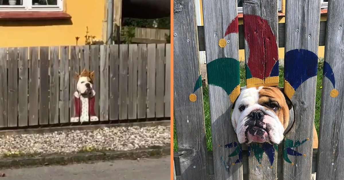 Woman Paints Fence For Nosy Bulldog - Passerby's Find It Hilarious