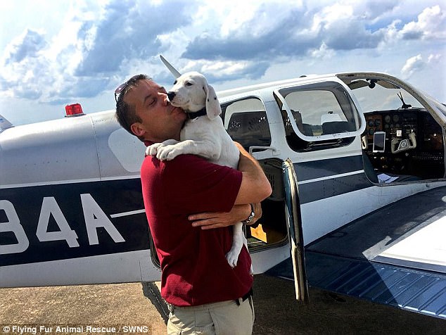 A military veteran found out how to fly, forked $65,000 to buy an airplane, and flies around America to save more than 1,500 animals from shelters