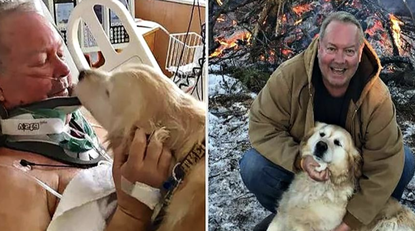 After Slipping On Ice And Breaking His Neck, A Heroic Dog Saves His Owner's Life