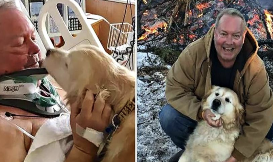 After Slipping On Ice And Breaking His Neck, A Heroic Dog Saves His Owner’s Life