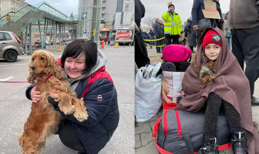 Guy Helps Ukrainian Family Find Safe Haven So They Do Not Have To Give Up Their Dog