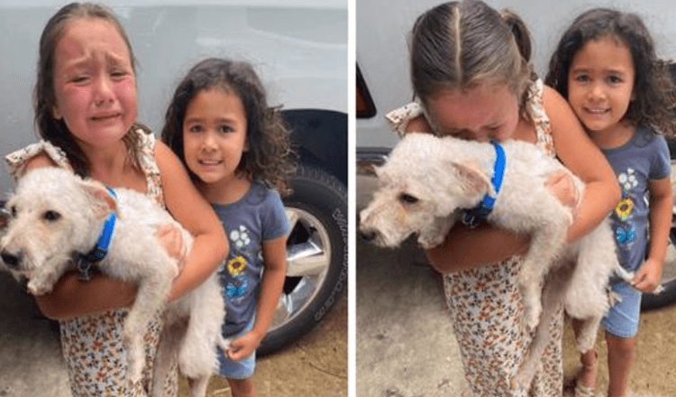 Little Girl Can Not Stop Crying Tears Of Happiness When Her Lost Dog Is Finally Found