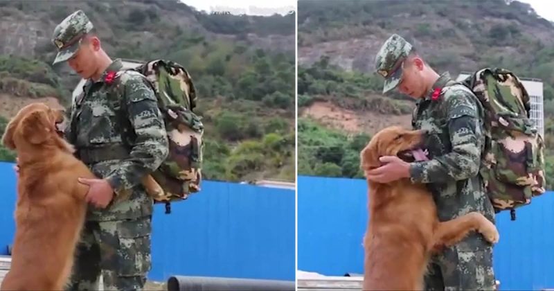 Military Dog Rejects To Let His Trainer Leave After Being With Him For 2 Years