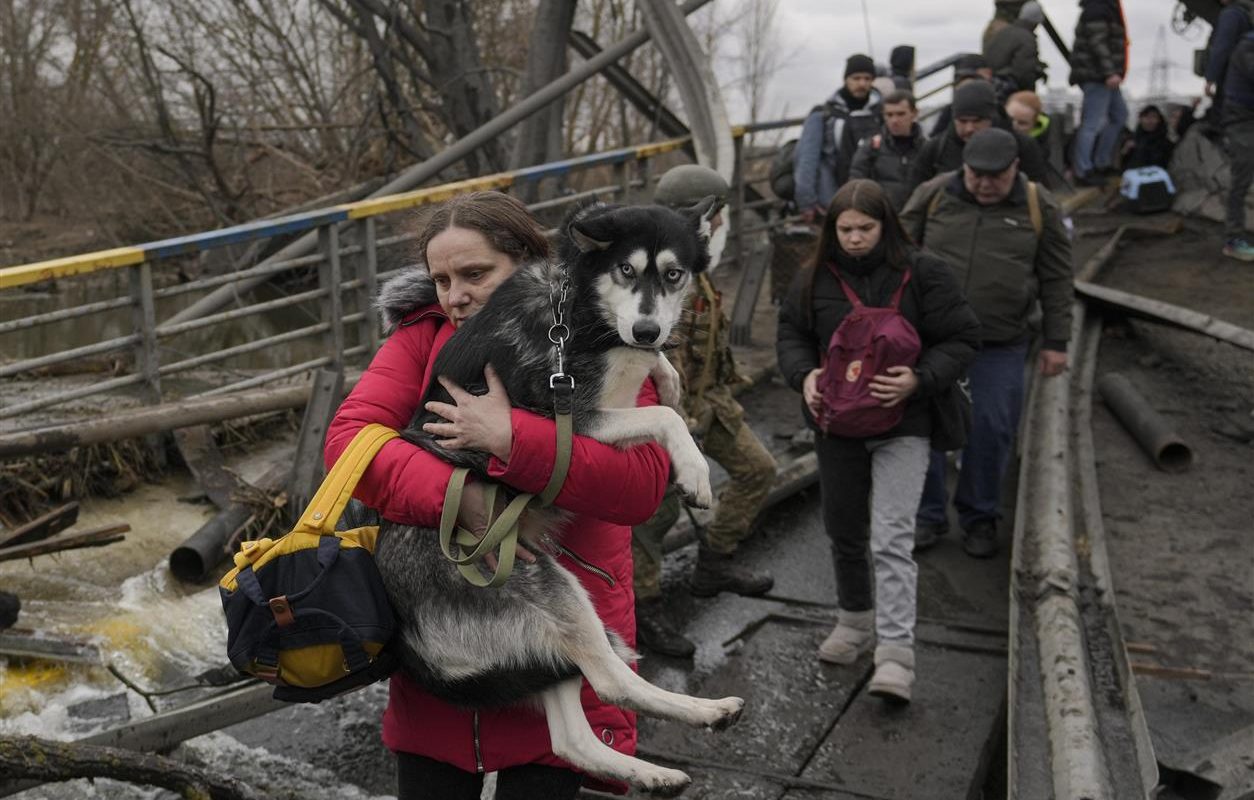 Photos Ukrainian fleeing WAR can not leave pets behind