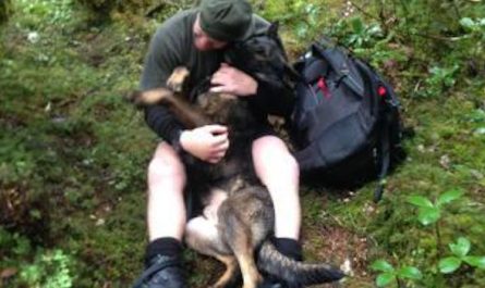 Police Dog Lost For 7 Days In Mountains Overjoyed To Be Found By His Handler