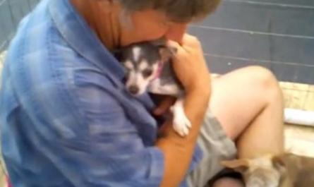 Puppy Mill Dog Never Felt A Persons Touch, So Volunteer Gets In Kennel With Her