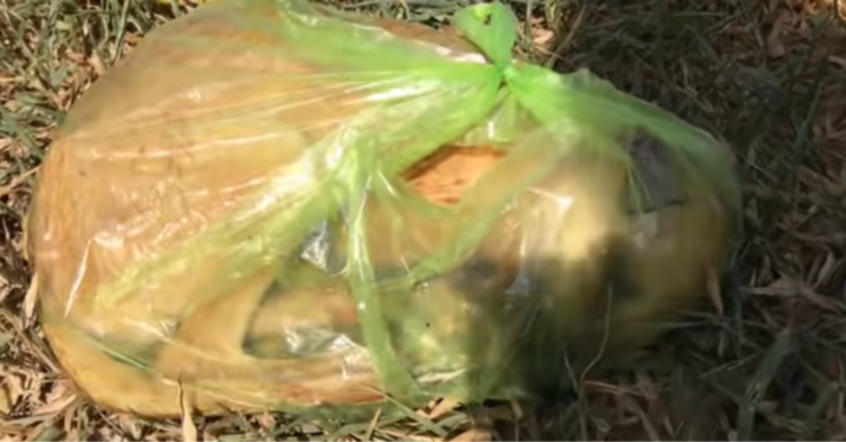 Rescuers Find Pup In A Trash Bag And Do Everything They Can To Rescue Her