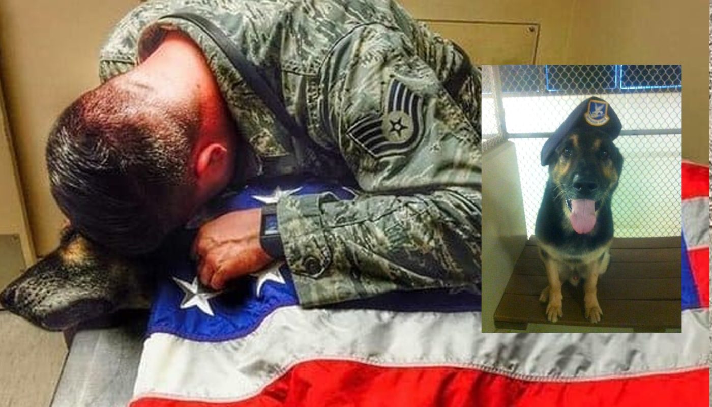 Soldier Provides His K-9 Partner One Last Hug, Stays With Him Till His Last Moments