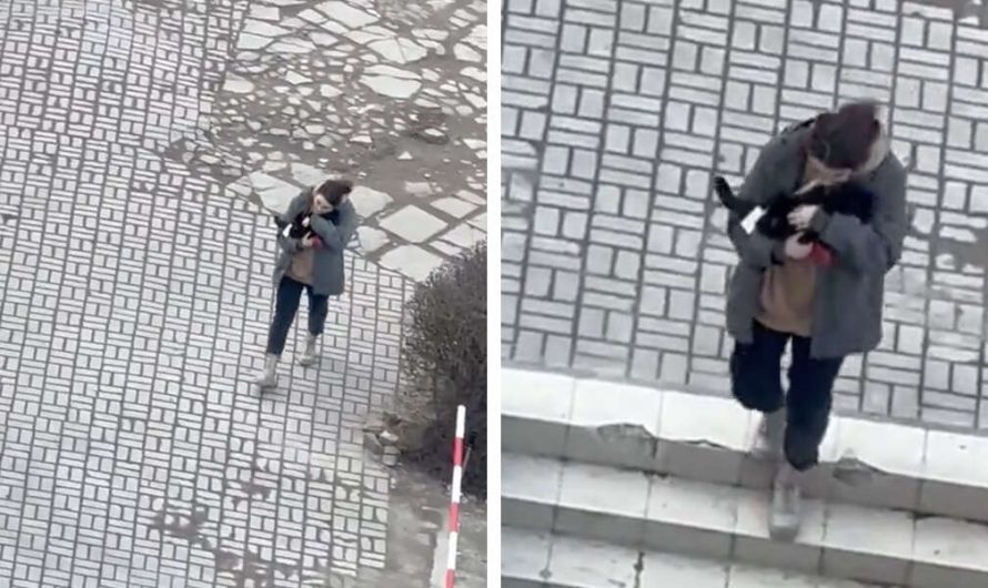 Woman In Ukraine Seen Comforting A Cat While Air Raid Sirens Sound