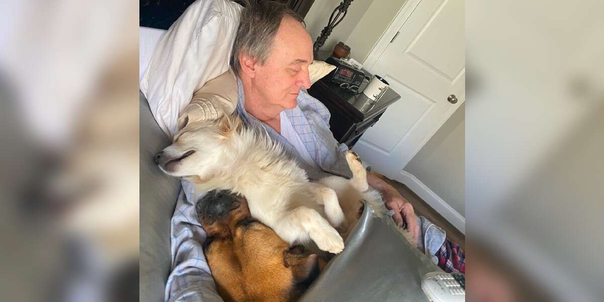 Woman Walks In On Her Father Napping With All The Neighbor Dogs
