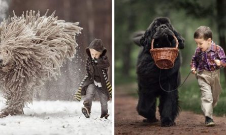 25 Cute Photos Of Big Dogs and Little Kids by Andy Seliverstoff