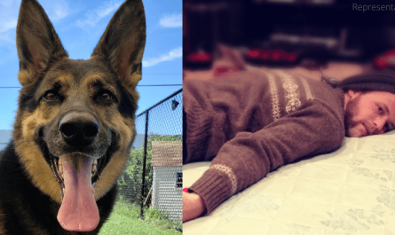 A quick thinking dog rescues his owner's life who got stroke and fell down on the floor of their house