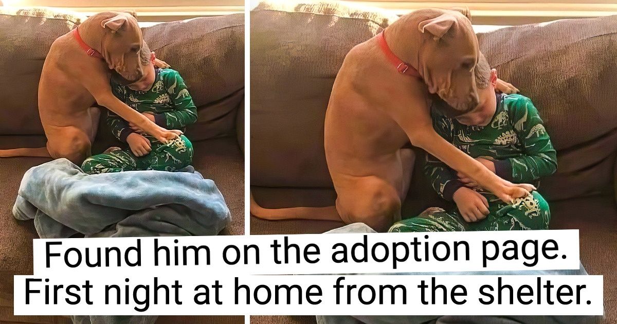 Adorable times of pet moms and dads and their children