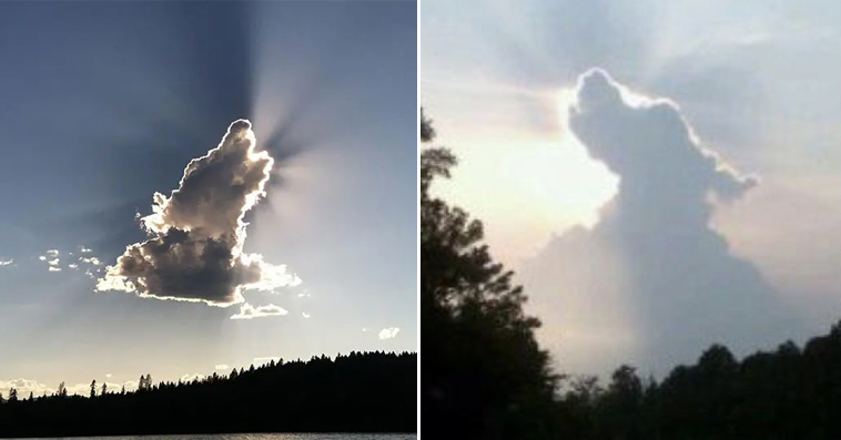All Dogs Really Do Go To Paradise & These Dog Shaped Clouds Are Evidence