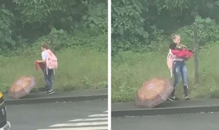 Angel Found Saving A Stray Dog On Her Way Home From School