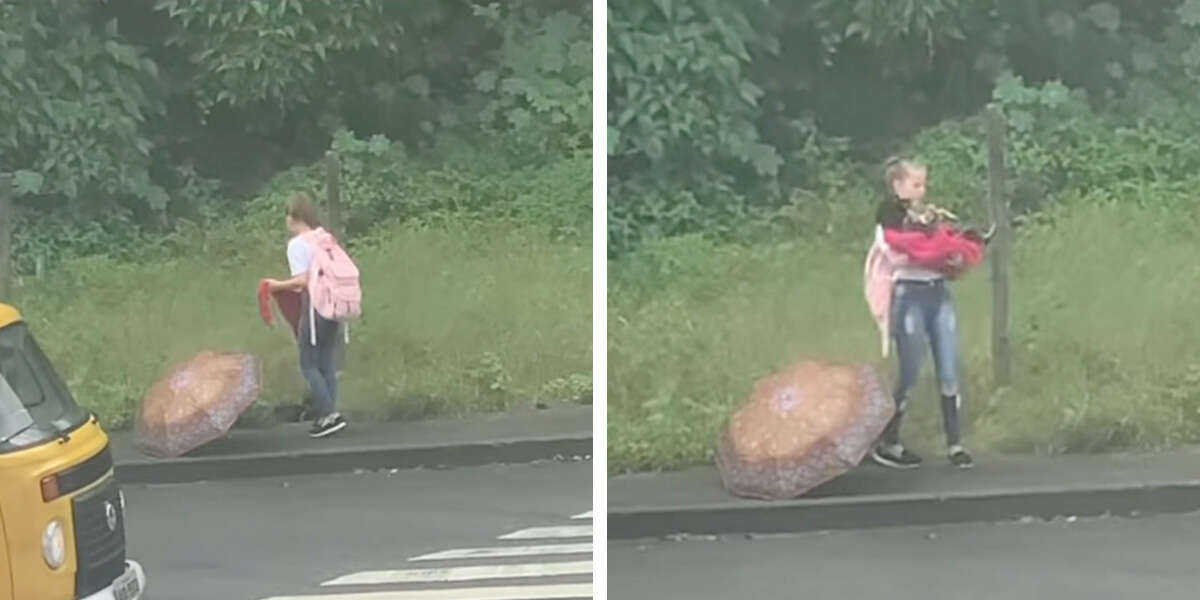 Angel Found Saving A Stray Dog On Her Way Home From School