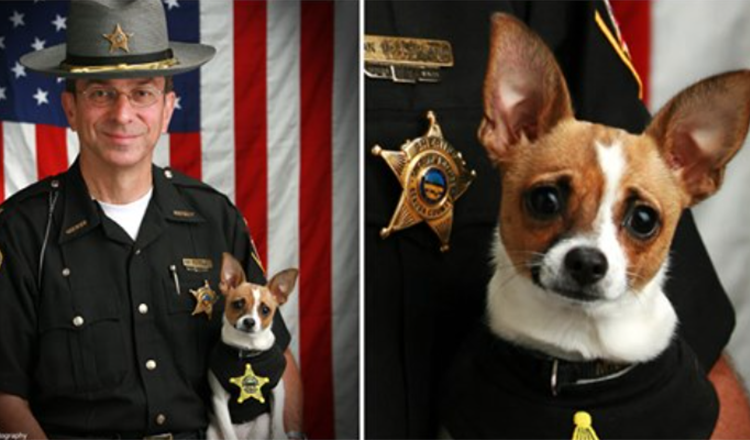 Sheriff And His Longtime K9 Partner Pass Away Within Hours Of Each Other - Rest In Peace