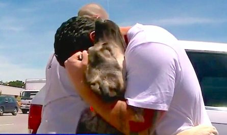 Soldier Falls In Love With Puppy In Iraq. And Later Dog Goes Bonkers When They Reunite