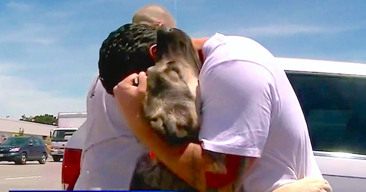 Soldier Falls In Love With Puppy In Iraq. And Later Dog Goes Bonkers When They Reunite