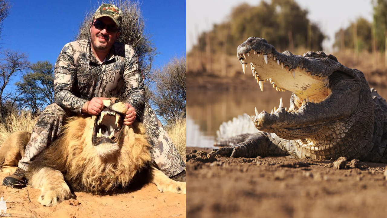 Trophy hunter who targeted elephants and lions gets eaten by crocodiles