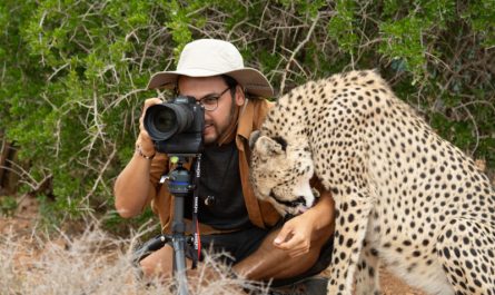 A Photographer was shocked when the Cheetah quietly came closer and hugged him