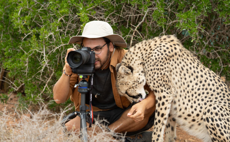 A Photographer was shocked when the Cheetah quietly came closer and hugged him