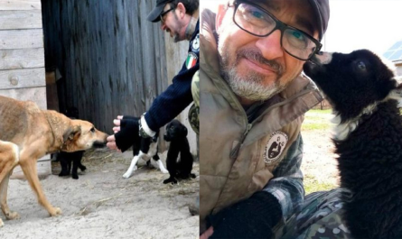 A rescuer rejects to leave his 450 animals in Ukraine. He said: I 'd rather lose my life with them.