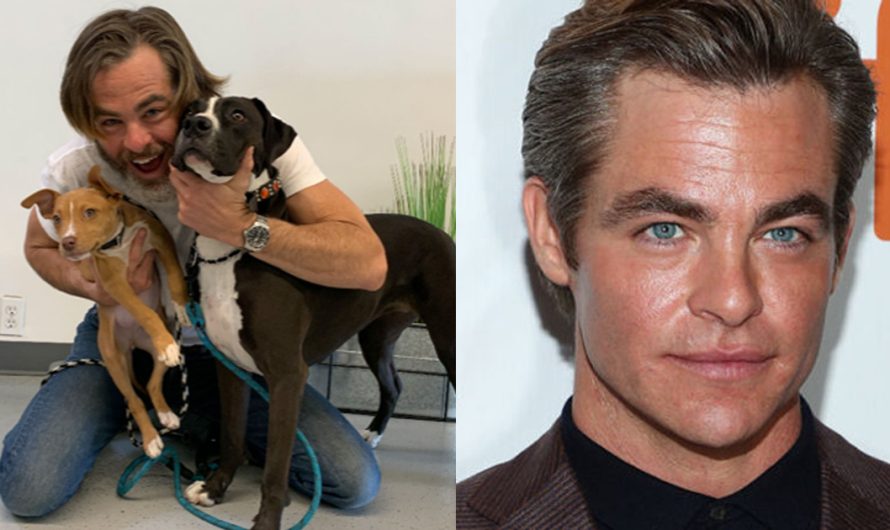 Chris Pine Adopts Adorable Rescue Pit Bull Called Babs: They Have a ‘Sweet and Playful Bond’