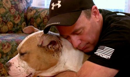 Deputy Returns To Town To Meet The Blind Rescue Pit Bull He Had Befriended